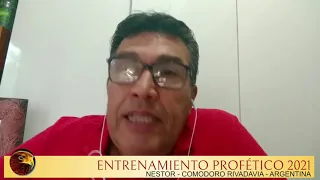 Nestor - Águilas de Fuego